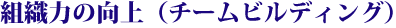 組織力の向上 （チームビルディング）