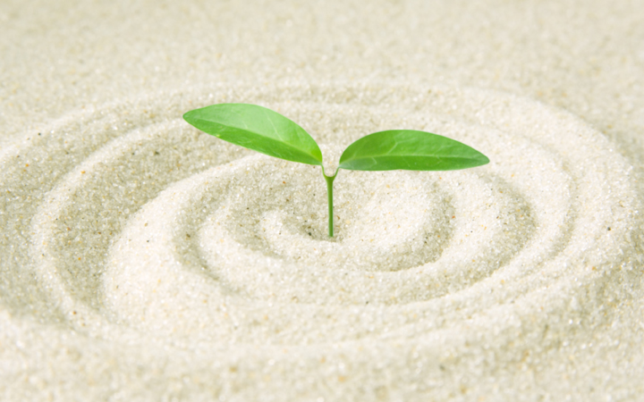 研修、組織、茨城